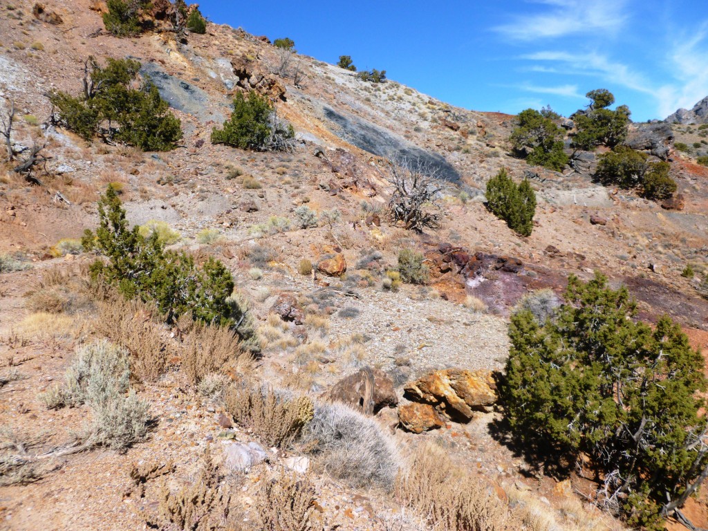 Bands of altered and replaced limestone to the east of the mine shaft.