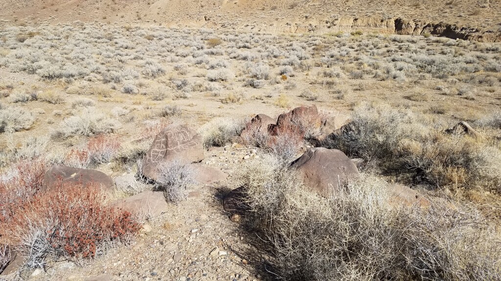 Petroglyphs on the Bulley Boy