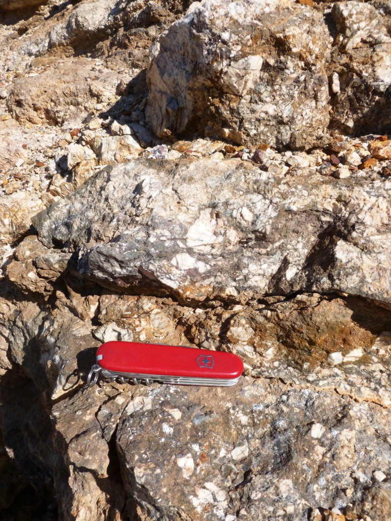 Some of the breccia (or angular, broken rocks) within the silicified reef. Pocket knife for scale.